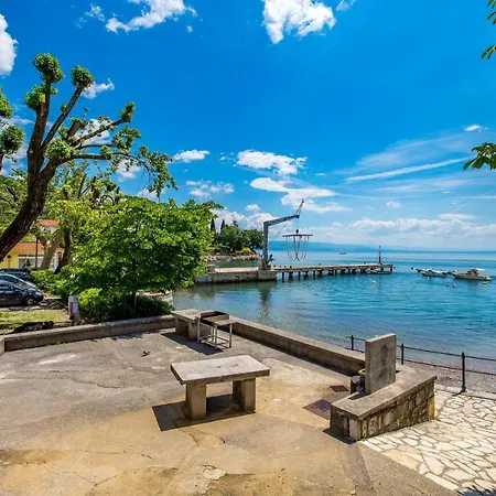 Seafront Voyo Ika